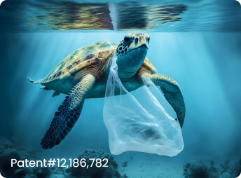 Bag Washer - Patent - 2